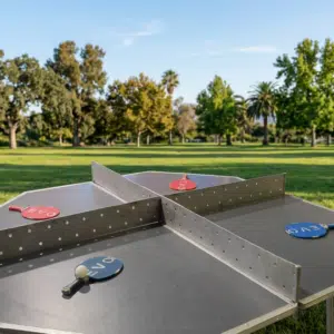 פינג פונג לארבעה